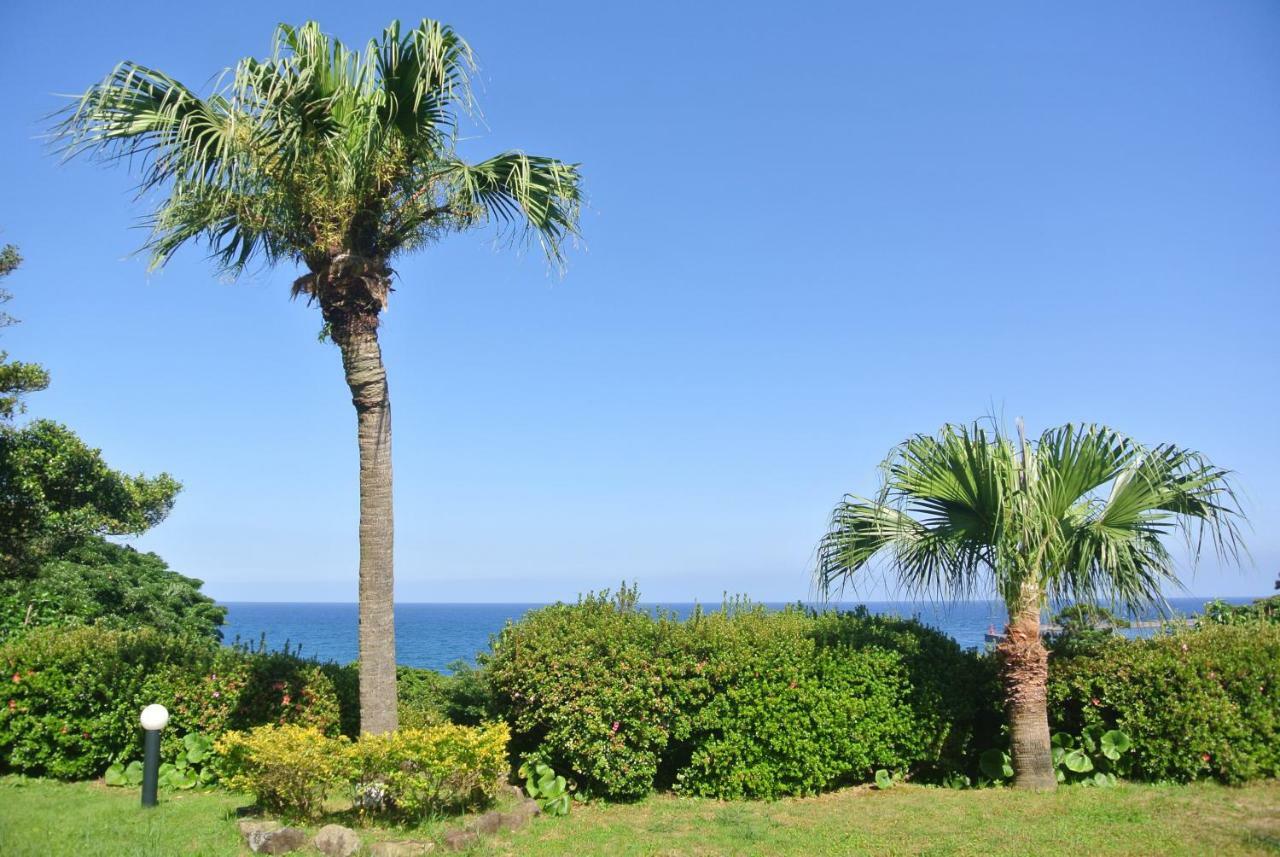 Yakushima Green Hotel Zewnętrze zdjęcie